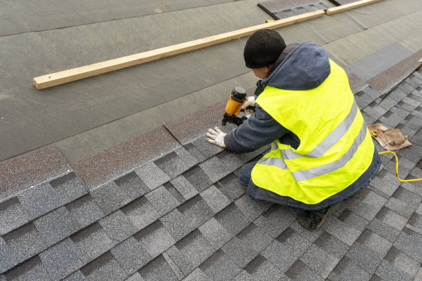 Best Roof Gutter Cleaning  in Robie Creek, ID
